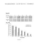 METHYLATED CODING AND NON-CODING RNA GENES AS DIAGNOSTIC AND THERAPEUTIC     TOOLS FOR HUMAN MELANOMA diagram and image