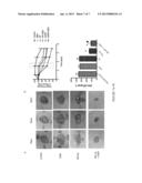 ENHANCED NITRIC OXIDE DELIVERY AND USES THEREOF diagram and image