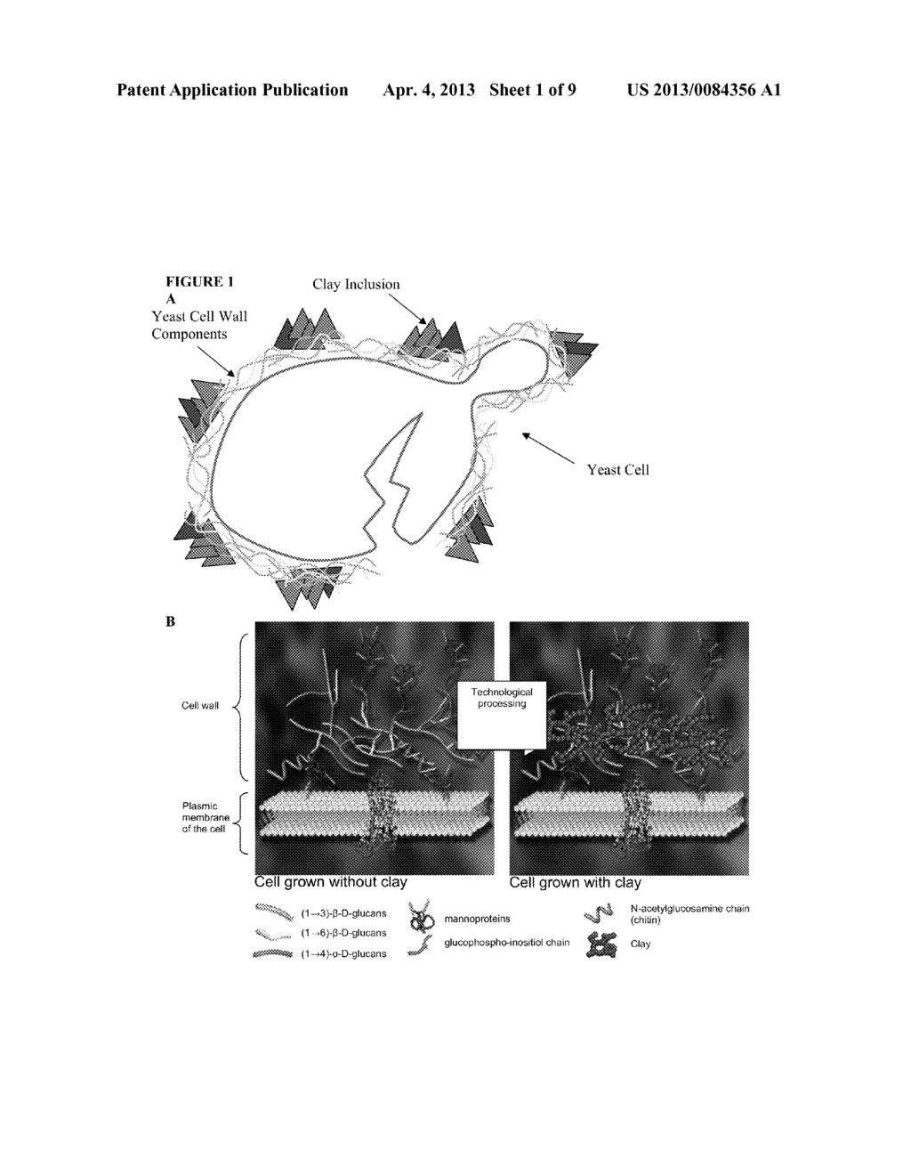 CLAY INTERLACED YEAST COMPOSITIONS AND METHODS OF UTILIZING THE SAME - diagram, schematic, and image 02