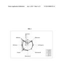 AMINO ACID SEASONING COMPOSITIONS COMPRISING L-GLUTAMIC ACID AND L-LYSINE diagram and image