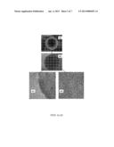 METHOD FOR THE PREPARATION OF CARBON FIBER FROM POLYOLEFIN FIBER     PRECURSOR, AND CARBON FIBERS MADE THEREBY diagram and image