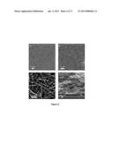 Inorganic Nanostructure-Organic Polymer Heterostructures Useful for     Thermoelectric Devices diagram and image