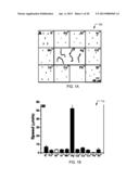 NANOMOTORS AND MOTION-BASED DETECTION OF BIOMOLECULAR INTERACTIONS diagram and image