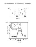 NANOMOTORS AND MOTION-BASED DETECTION OF BIOMOLECULAR INTERACTIONS diagram and image