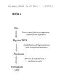 METHYLATION PROFILING OF DNA SAMPLES diagram and image