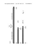 VARIANTS OF VEGFR AND THEIR USE IN THE DIAGNOSIS AND TREATMENT OF     PREGNANCY ASSOCIATED MEDICAL CONDITIONS diagram and image