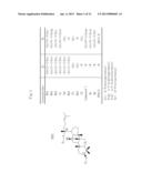 NOVEL SOIL MICROORGANISM, NOVEL OXIDOREDUCTASE SEPARATED FROM THE SOIL     MICROORGANISM, GENE ENCODING THE OXIDOREDUCTASE, AND METHOD FOR PRODUCING     AGLYCONES USING THE MICROORGANISM, THE OXIDOREDUCTASE AND THE GENE diagram and image