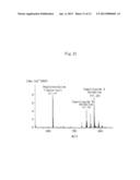 NOVEL SOIL MICROORGANISM, NOVEL OXIDOREDUCTASE SEPARATED FROM THE SOIL     MICROORGANISM, GENE ENCODING THE OXIDOREDUCTASE, AND METHOD FOR PRODUCING     AGLYCONES USING THE MICROORGANISM, THE OXIDOREDUCTASE AND THE GENE diagram and image