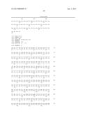 Method for Producing an L-Amino Acid diagram and image