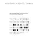 Novel Plant Acyltransferases Specific for Long-Chained, Multiply     Unsaturated Fatty Acids diagram and image