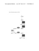 Novel Plant Acyltransferases Specific for Long-Chained, Multiply     Unsaturated Fatty Acids diagram and image