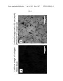 SCAFFOLD FOR ARTICULAR CARTILAGE REGENERATION AND METHOD FOR MANUFACTURING     SAME diagram and image