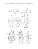 Plate carrier apparatus and method diagram and image