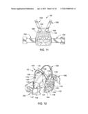 Plate carrier apparatus and method diagram and image