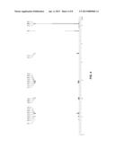 Half-Metallocene Compounds and Catalyst Compositions diagram and image