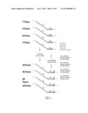 SUBSTANTIALLY NON-SELF COMPLEMENTARY PRIMERS diagram and image