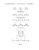 SUBSTANTIALLY NON-SELF COMPLEMENTARY PRIMERS diagram and image