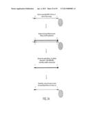 SUBSTANTIALLY NON-SELF COMPLEMENTARY PRIMERS diagram and image