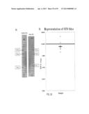 SUBSTANTIALLY NON-SELF COMPLEMENTARY PRIMERS diagram and image