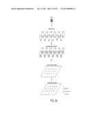 SUBSTANTIALLY NON-SELF COMPLEMENTARY PRIMERS diagram and image