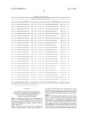 SUBSTANTIALLY NON-SELF COMPLEMENTARY PRIMERS diagram and image