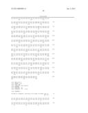 REGULATION OF LUNG TISSUE BY HEDGEHOG-LIKE POLYPEPTIDES, AND FORMULATIONS     AND USES RELATED THERETO diagram and image