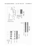 COMPOSITIONS INCLUDING TRICIRIBINE AND EPIDERMAL GROWTH FACTOR RECEPTOR     INHIBITOR COMPOUNDS OR SALTS THEREOF AND METHODS OF USE THEREOF diagram and image