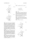 COMPOSITIONS INCLUDING TRICIRIBINE AND EPIDERMAL GROWTH FACTOR RECEPTOR     INHIBITOR COMPOUNDS OR SALTS THEREOF AND METHODS OF USE THEREOF diagram and image