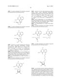 COMPOSITIONS INCLUDING TRICIRIBINE AND EPIDERMAL GROWTH FACTOR RECEPTOR     INHIBITOR COMPOUNDS OR SALTS THEREOF AND METHODS OF USE THEREOF diagram and image