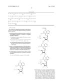 COMPOSITIONS INCLUDING TRICIRIBINE AND EPIDERMAL GROWTH FACTOR RECEPTOR     INHIBITOR COMPOUNDS OR SALTS THEREOF AND METHODS OF USE THEREOF diagram and image