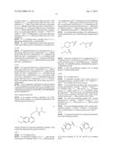 Method For Assay On The Effect Of Vascularization Inhibitor diagram and image