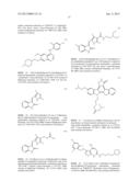 Method For Assay On The Effect Of Vascularization Inhibitor diagram and image