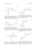 Method For Assay On The Effect Of Vascularization Inhibitor diagram and image