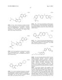 Method For Assay On The Effect Of Vascularization Inhibitor diagram and image