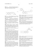 Method For Assay On The Effect Of Vascularization Inhibitor diagram and image