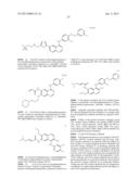 Method For Assay On The Effect Of Vascularization Inhibitor diagram and image