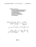 CONTROLLED HYDROLYSIS OF POLY-4-HYDROXYBUTYRATE AND COPOLYMERS diagram and image