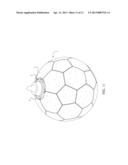 Sports Bottle Ball diagram and image