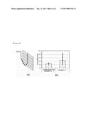 LEAD FREE GLASS FRIT POWDER FOR MANUFACTURING SILICON SOLAR CELL, ITS     PRODUCING METHOD, METAL PASTE COMPOSITION CONTAINING THE SAME AND SILICON     SOLAR CELL diagram and image