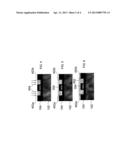 Light Emitting Diode (LED) Using Carbon Materials diagram and image