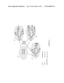 Multicast Active Source Discovery and Management for Layer-2 Interconnect     Solutions diagram and image