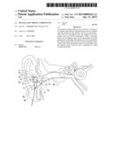 BINAURAL-RECORDING EARPHONE SET diagram and image