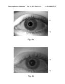 SECURITY IMPROVEMENTS FOR IRIS RECOGNITION SYSTEMS diagram and image