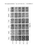 METHOD FOR SCREENING SIZE OF CARRIER diagram and image