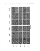 METHOD FOR SCREENING SIZE OF CARRIER diagram and image