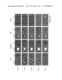 METHOD FOR SCREENING SIZE OF CARRIER diagram and image