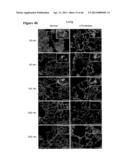 METHOD FOR SCREENING SIZE OF CARRIER diagram and image