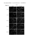 METHOD FOR SCREENING SIZE OF CARRIER diagram and image