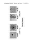 METHOD FOR SCREENING SIZE OF CARRIER diagram and image