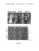 METHOD FOR SCREENING SIZE OF CARRIER diagram and image